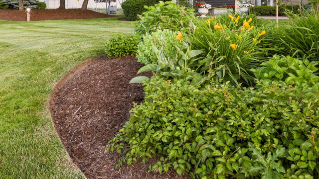 Refined image lawn and landscape, softscapes, snow & ice, lawn cutting & maintenance, residential & commercial lawn care, dunnville, ON