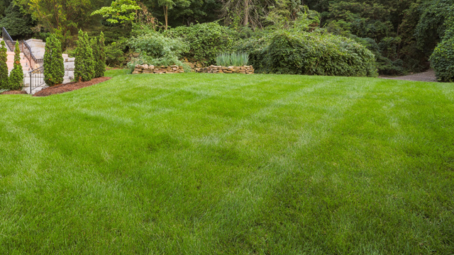 Refined image lawn and landscape, softscapes, snow & ice, lawn cutting & maintenance, residential & commercial lawn care, dunnville, ON